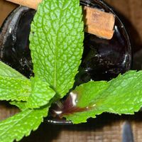   at Alma in Cartagena