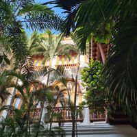 wow! at Alma in Cartagena