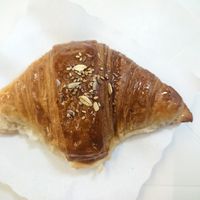  at Danesi Caffe in Rome