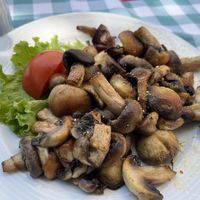   at Belvedere in Ohrid