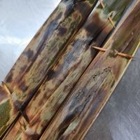 3 otah for $2  ~ 5/3/22 at Rong Yuan Food Stall 融圆 in North Singapore