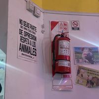   at La Vegana in Buenos Aires