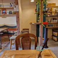 The interior at TU CASA -Zero waste & Plant based- in Kyoto
