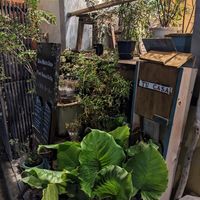  at TU CASA -Zero waste & Plant based- in Kyoto
