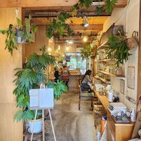 Inside at TU CASA - Zero waste & Plant based トゥ・カサ in Kyoto