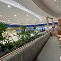 Across from IKEA  at SHAKA - Mall of Asia in Pasay