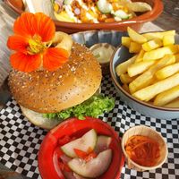  at Sintjacobs Café in Vlissingen
