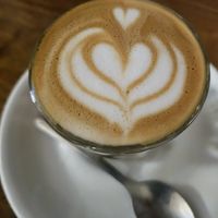 Cortado / Gibraltar with oatmilk at Temple Coffee in Sacramento
