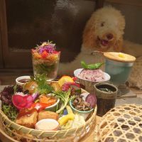 Outside space can eat lunch  with dog . at Cotonoha  in Kamakura