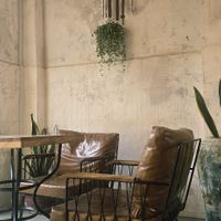 Interior at The Fringe in Battambang