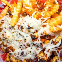 Vegan loaded fries special at 2street in Philadelphia