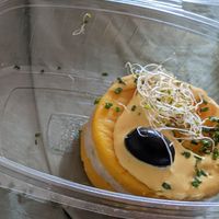 Causa rellena at Los Andenes Vegan - Puerta de Toledo in Madrid