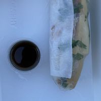   at Knees to Chin in Louvain-la-neuve