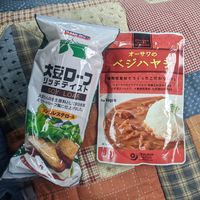 Soy loaf and vegan curry at Fuji Green in Fujinomiya