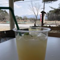 Views of Fuji over a cup of fresh pineapple juice.  at Earth Embassy - Solar Cafe and Farm in Yamanashi