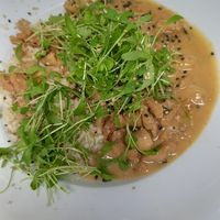 daily special (15€ but includes a side salad) at Velo Heilbronn in Heilbronn