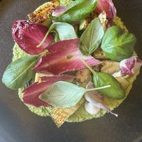 Zucchini, kale pesto, soy feta   at Beyla in Copenhagen