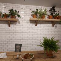  at Sprout & Co - Dawson St in Dublin