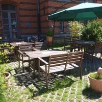 Micky & Molly, June 2014 at Micky und Molly Katzenmuseum und Cafe in Braunschweig