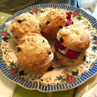 Scones  at Flying Goose Cafe in Nottingham