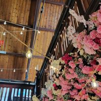 Very photogenic at Harrow and Harvest Cafe in Lilydale