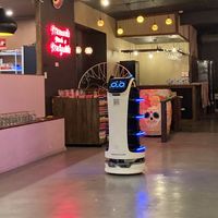 Kitty Robot Waiter  at Tres Mexican in Seaford