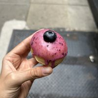 Blueberry mini donut  at Cloudy Donut Co in Brooklyn