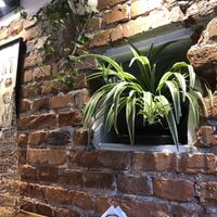  #Veganuary at Soup Culture in Krakow