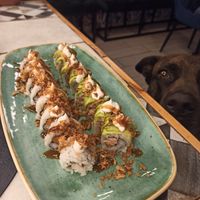 Tonno veg con avocado e salmone veg con boh at Sushi Meshi in Carrara