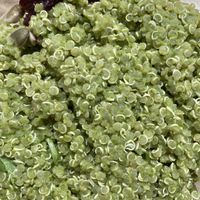 Quinoa salad  at The LUX in Tel Aviv