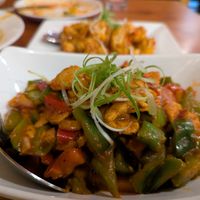 Vegan Veg Chilli chicken / shatrak  at White Yak in Philadelphia