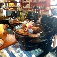  at Ddong Café in Seoul