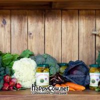 Verdura biologica, produzione propria at La Cortevilla - Agriturismo Biologico in Suvereto