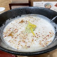 柚子遊ぶ朝露ミルク麺  at Hakkou Ramen izuru - 発酵ラーメン  in Yokohama