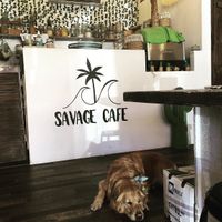   at Savage Cafe in Hyeres