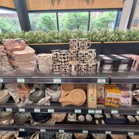  at Bambino in Dublin