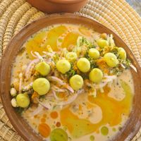  at Agave Studio in Puerto Ayora