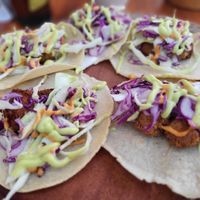  at Agave Studio in Puerto Ayora