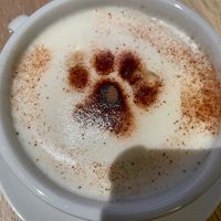 Cappuccino   at Katzentempel - Augsburg in Augsburg