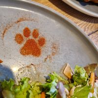 Spicy Paw at Katzentempel - Augsburg in Augsburg