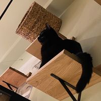  at Katzentempel - Augsburg in Augsburg