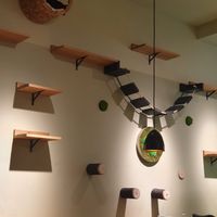  at Katzentempel - Augsburg in Augsburg