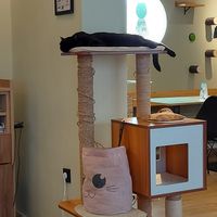  at Katzentempel - Augsburg in Augsburg