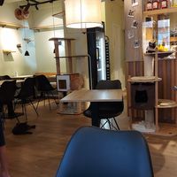  at Katzentempel - Augsburg in Augsburg