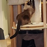  at Katzentempel - Augsburg in Augsburg