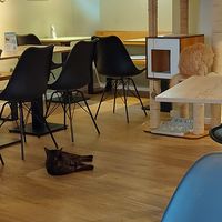  at Katzentempel - Augsburg in Augsburg