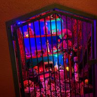  at Mission Cantina in Seattle