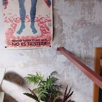  at Real Vegetal in Medellin