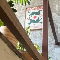 Todos los animales somos importantes 💚 at Real Vegetal in Medellin