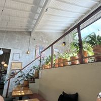   at Real Vegetal in Medellin